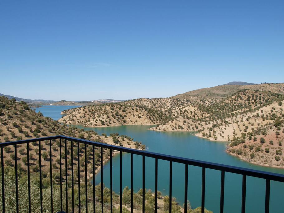 Vista al pantano desde la terraza del salon...