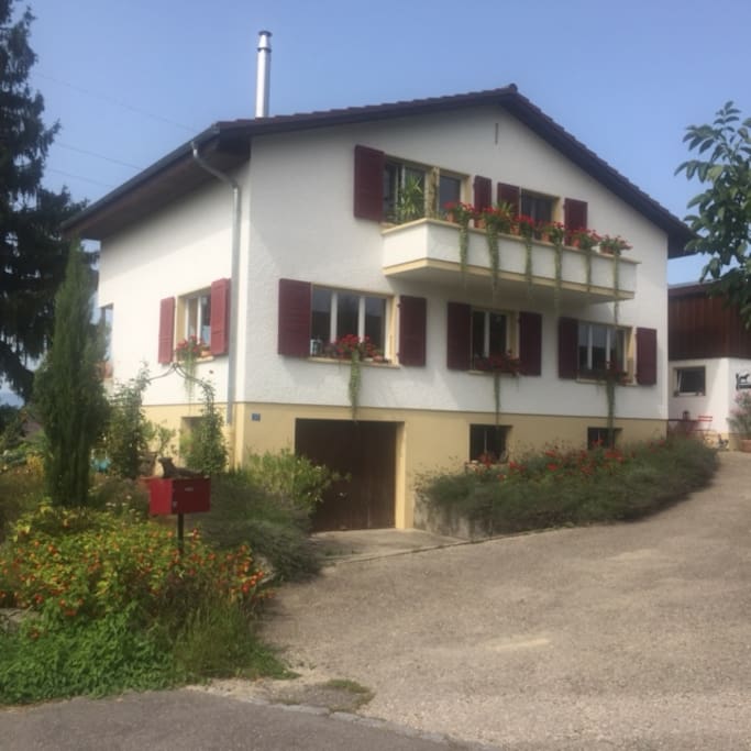 Einfamilienhaus (Sommer)