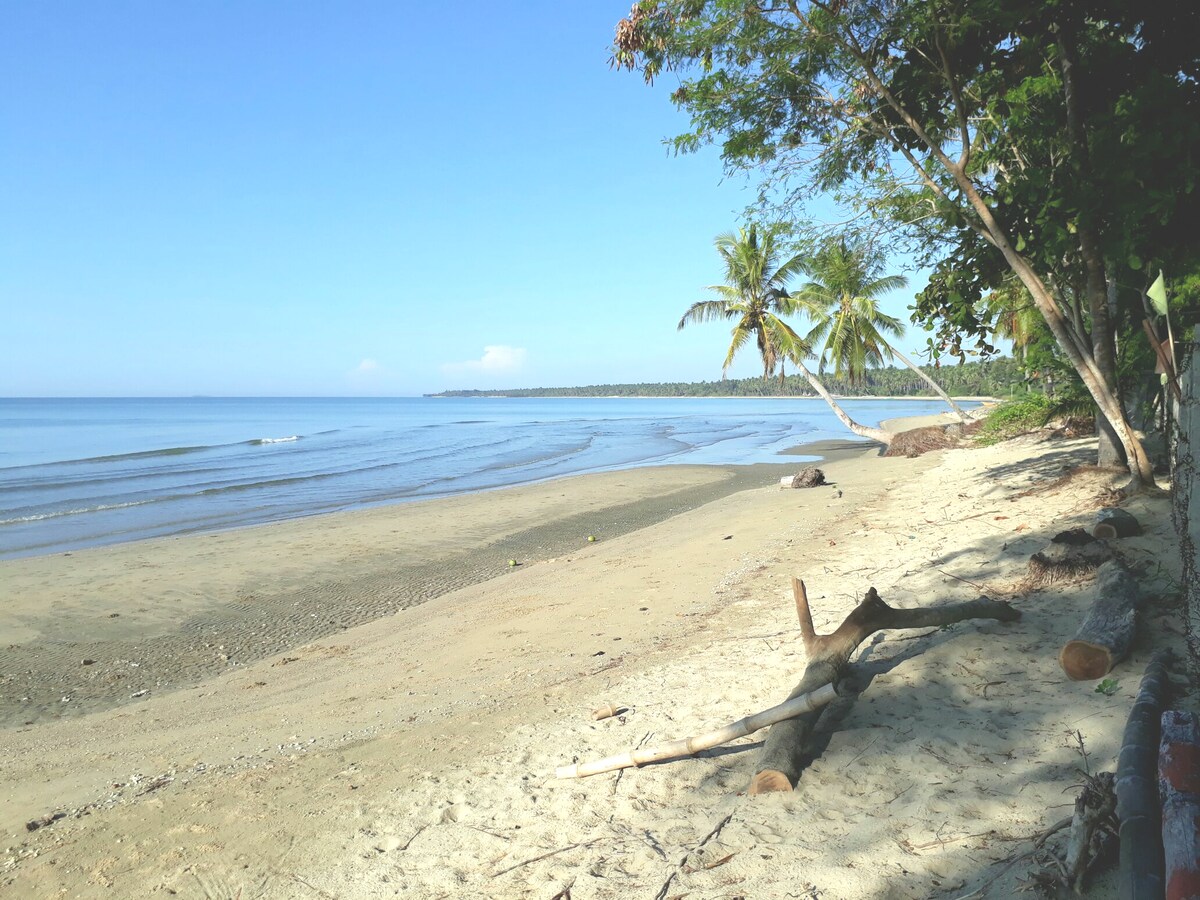 A sandy beach stretches along the shoreline, featuring calm waters reflecting the clear sky. Palm trees are positioned along the edge, providing shade. The shoreline is adorned with natural logs and pebbles in the foreground, contributing to a peaceful coastal scene.