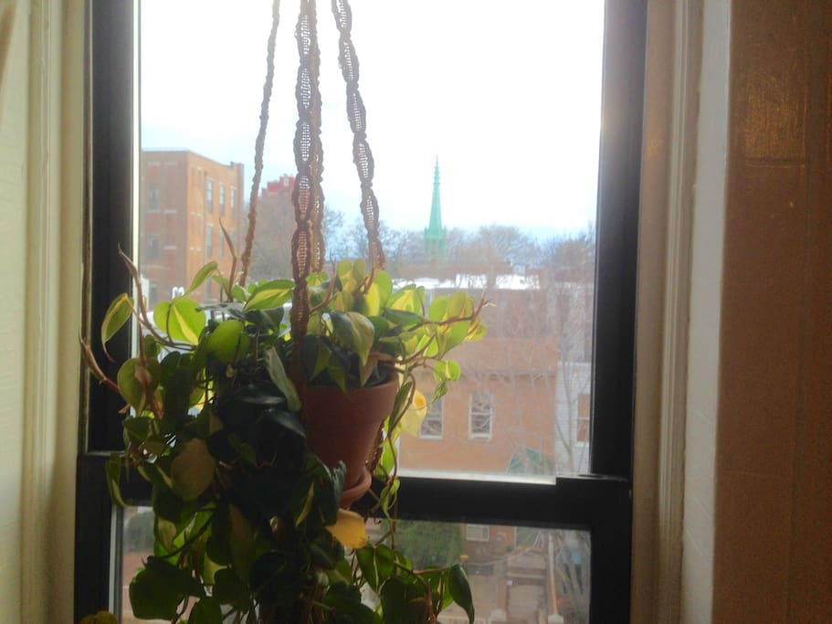 Hanging plants in the windows, and steeples in the distance — a nice view, indeed.