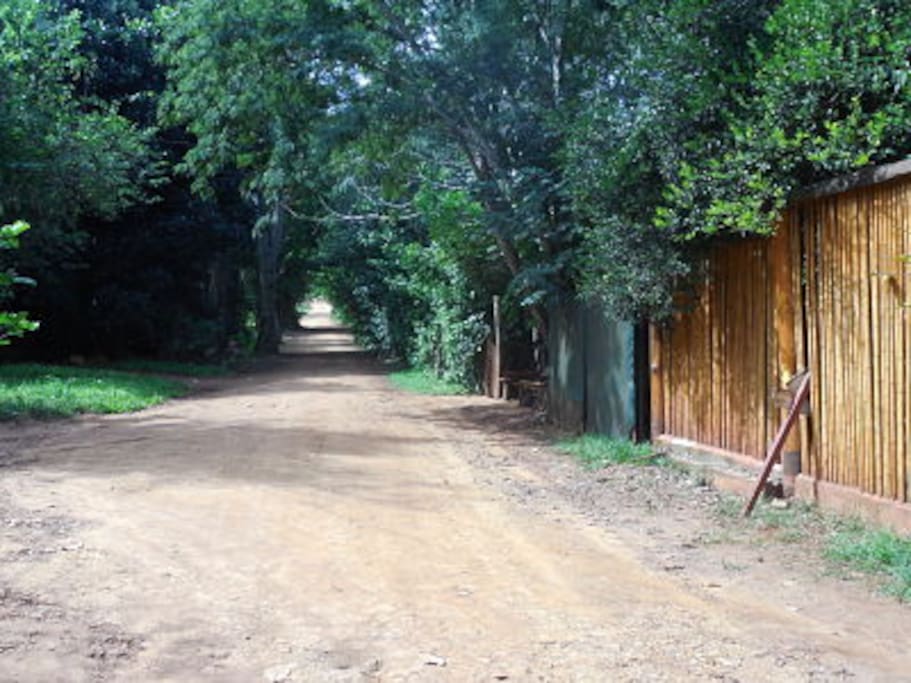 nuestro barrio verde único protegido por ecología