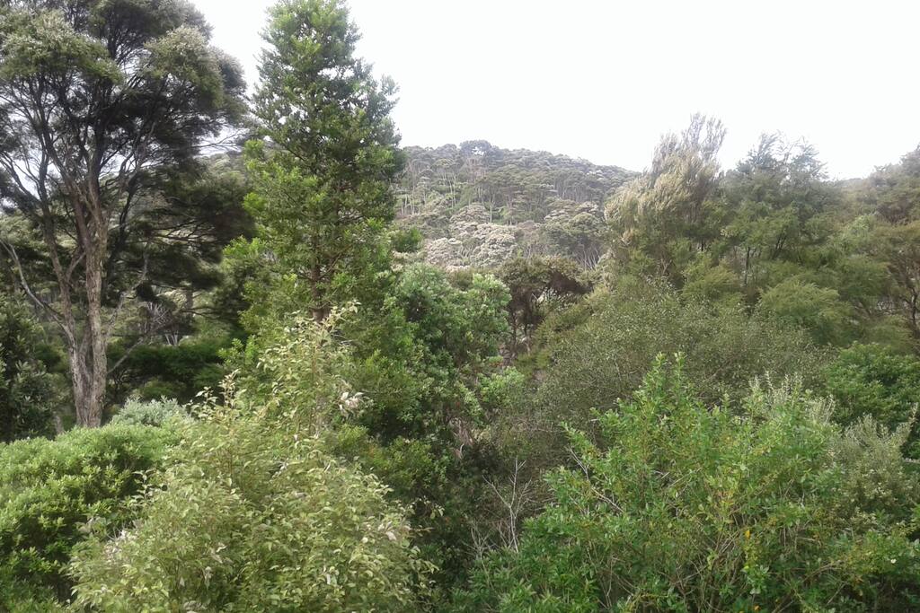 View from bedroom deck