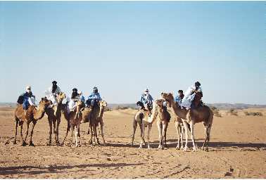 A group of individuals on camels is seen traversing the open desert landscape. The camels stand in a line, with some riders wearing traditional attire. The terrain features golden sand and sparse vegetation under a clear blue sky, highlighting the vastness of the desert.