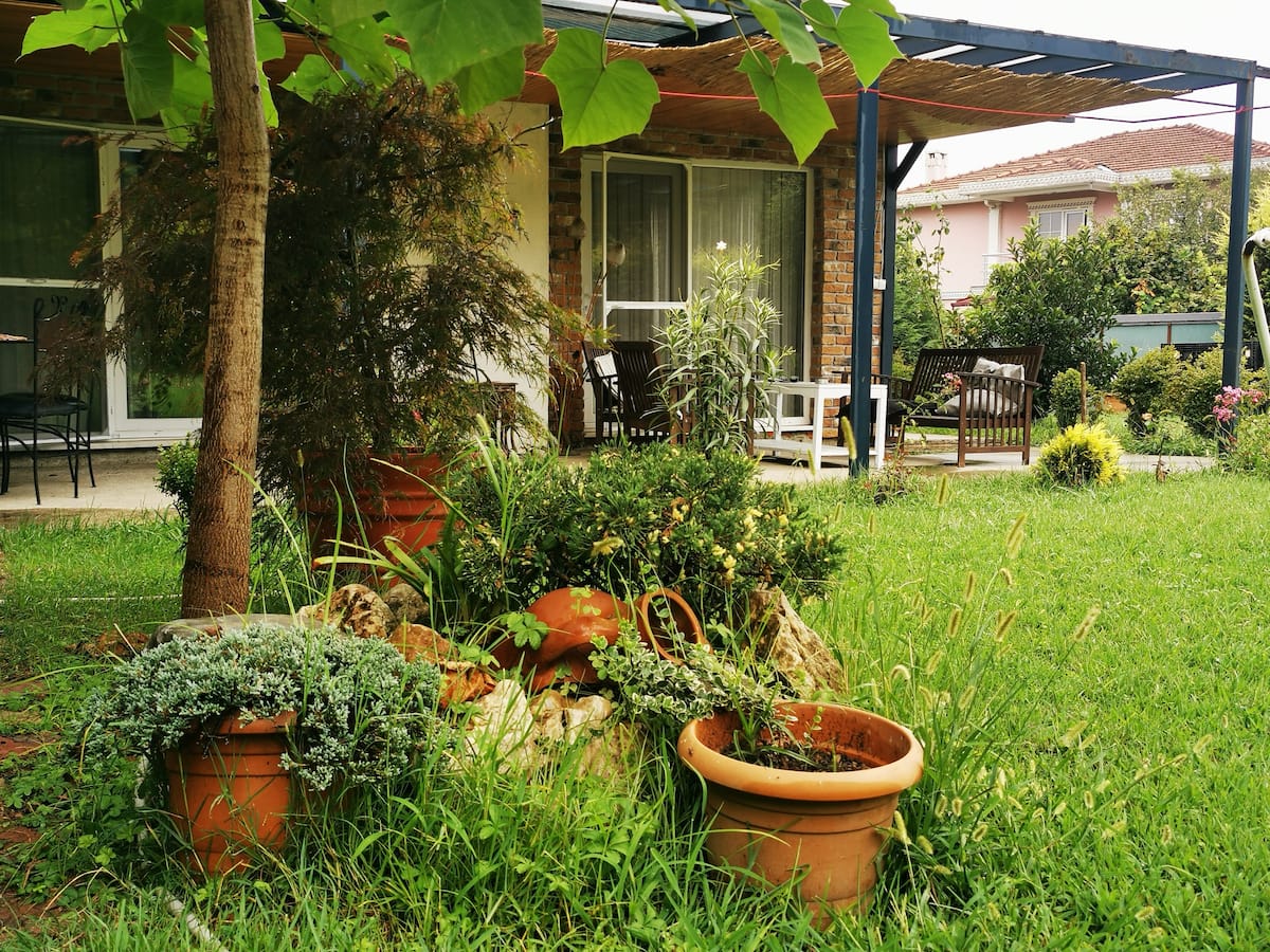 Bu tatil bir yeşil evde