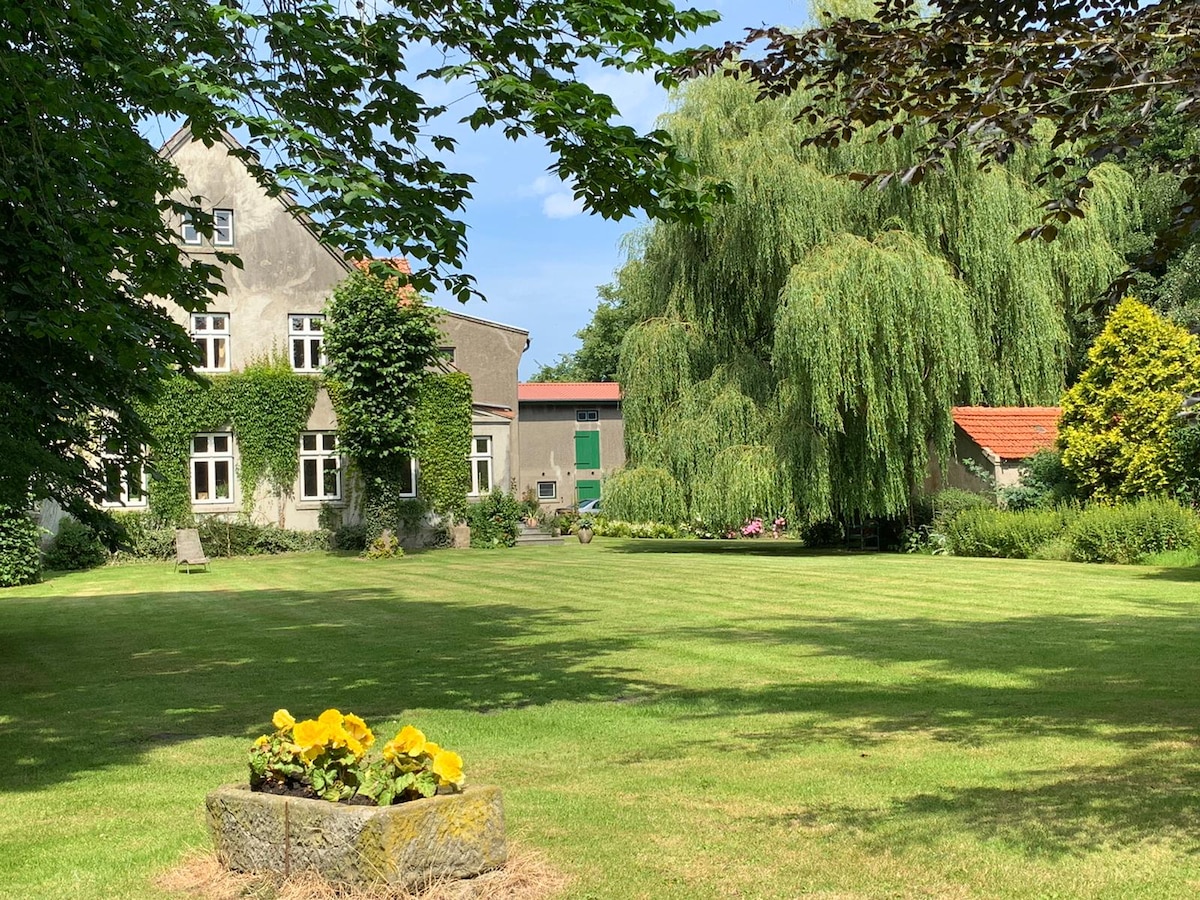 A spacious garden is seen in front of a rustic house, partially covered in green ivy. Lush green lawns extend around the property, featuring diverse trees, including a large weeping willow. Flower beds add color, complementing the serene outdoor atmosphere.