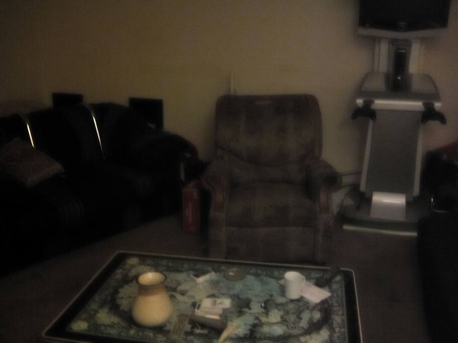 Panning to the other side of the living room.