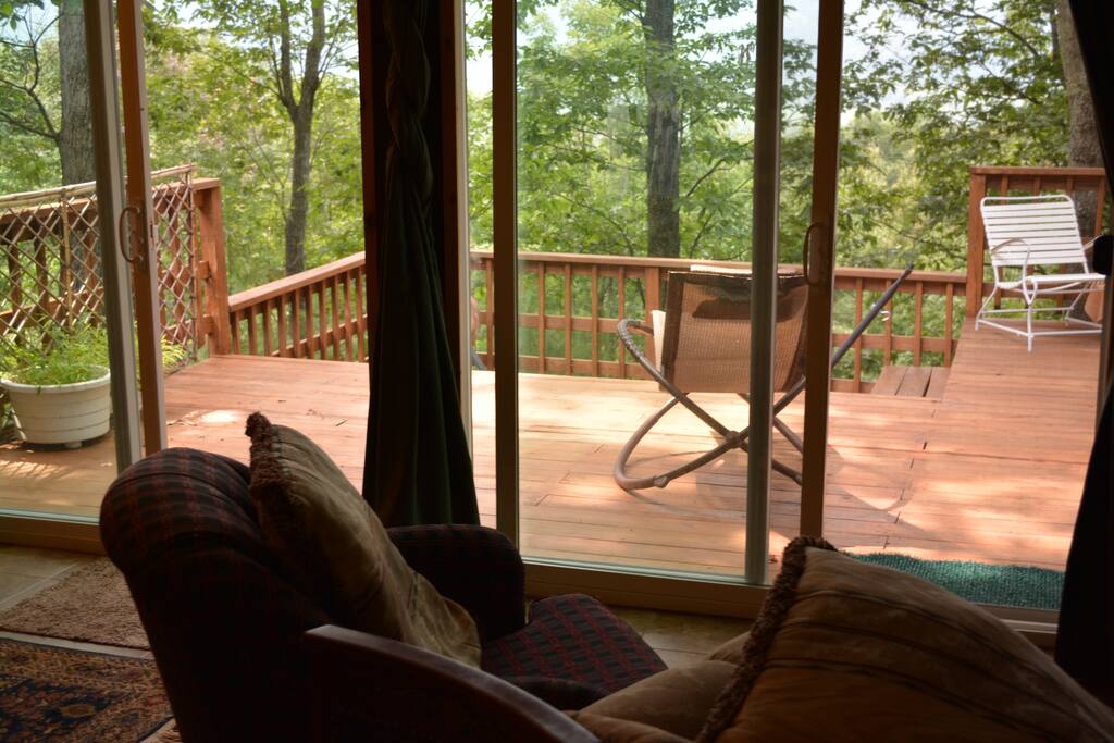 Beautiful views from the main cabin outdoors through large windows, allowing lots of light.