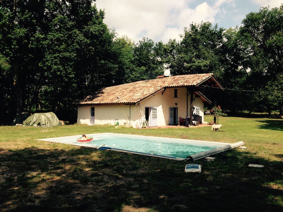 Piscine sur terrain arboré de 6000m²