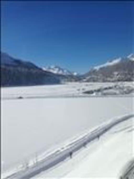 the view