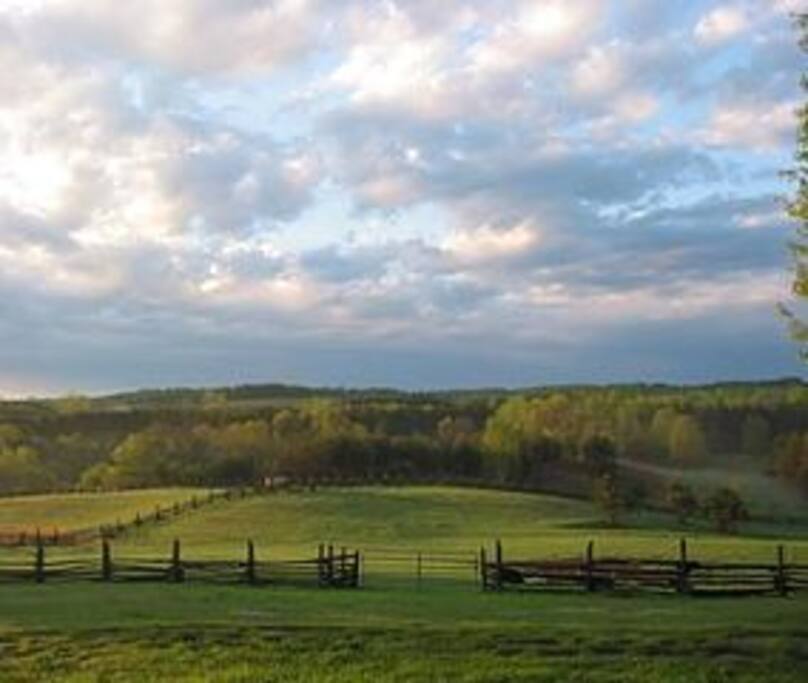The view from the top of the hill