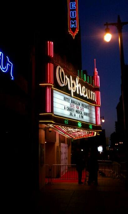 Photo of The Orpheum Theatre