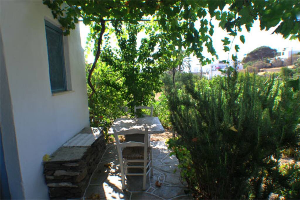 the yard of the room
