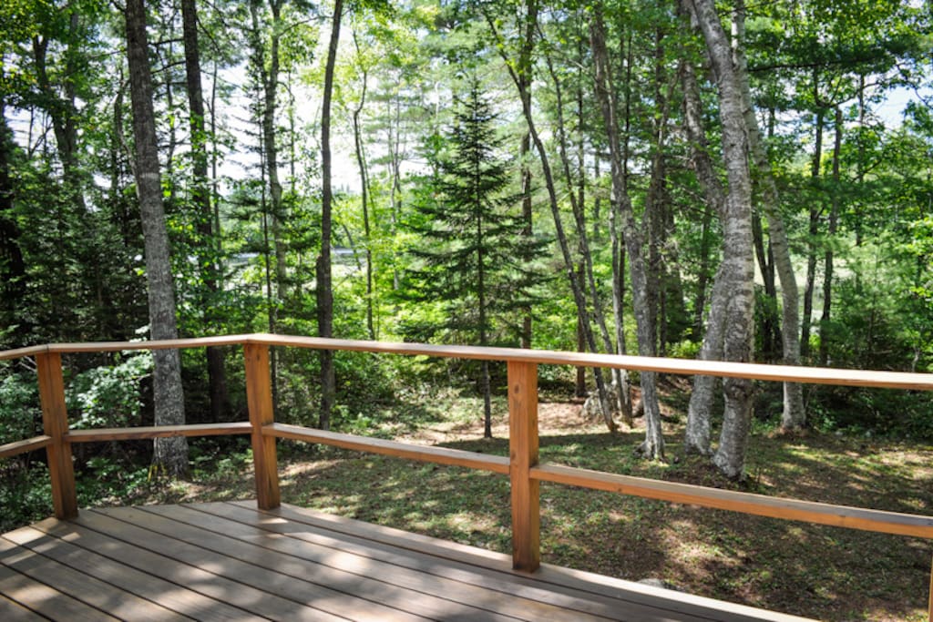 Path leads to the water, able to view water from the deck.