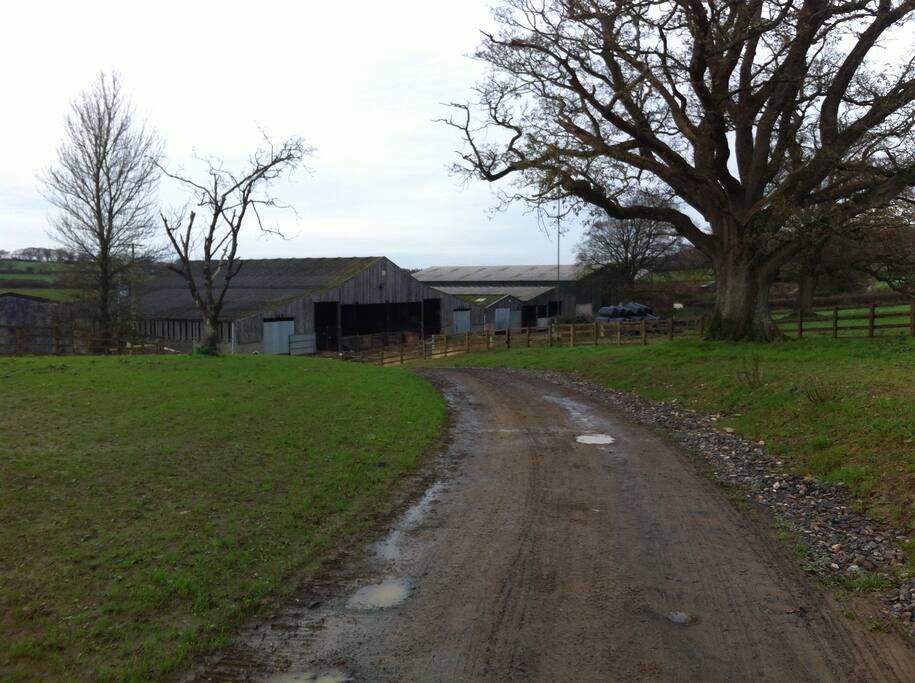 Approach to the farmhouse