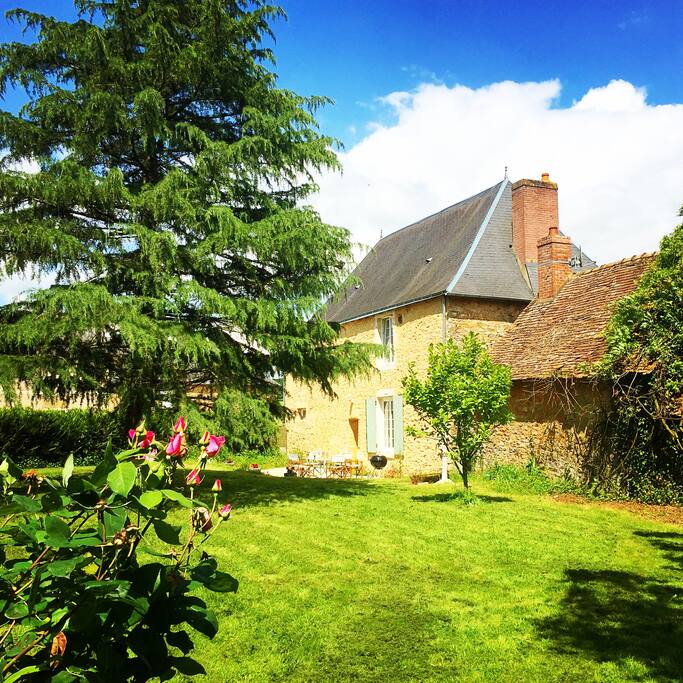 The house from the back garden
