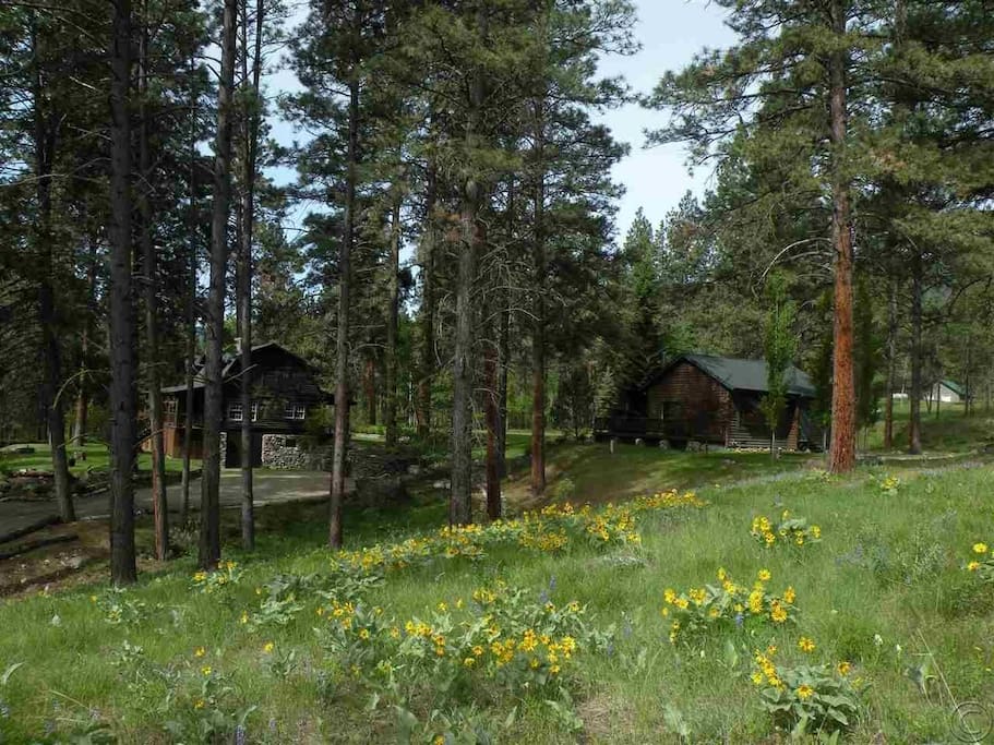 Guest Cabin and Main House