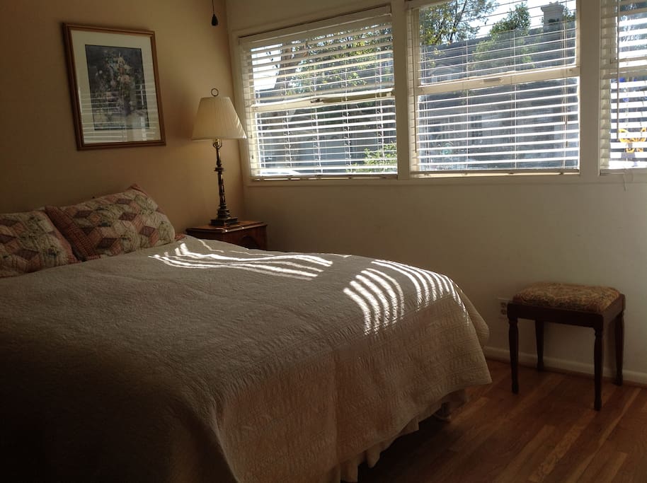 Downstairs bedroom