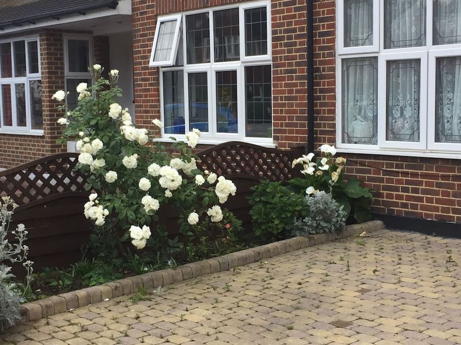 Shared Driveway for 3 cars