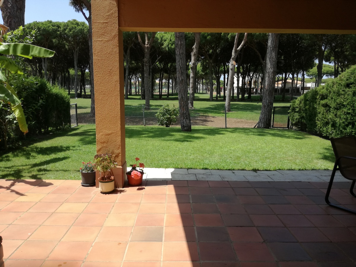 A view of a lush green lawn framed by tall trees is presented from a covered porch area. Potted plants are positioned beside a tiled patio, providing a serene setting for relaxation.
