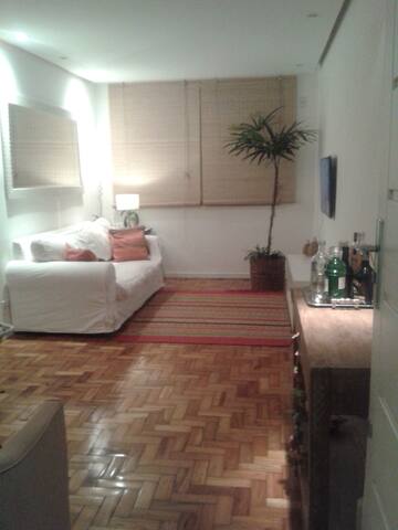 Apt in the heart of Santa Teresa!