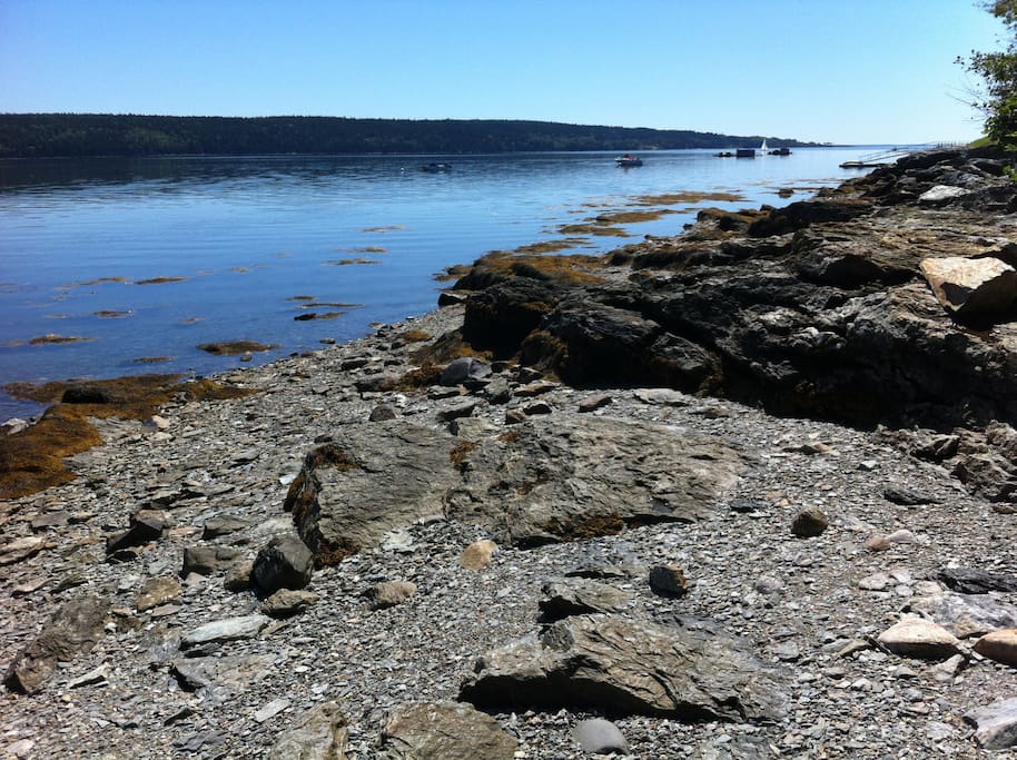 View south, low tide
