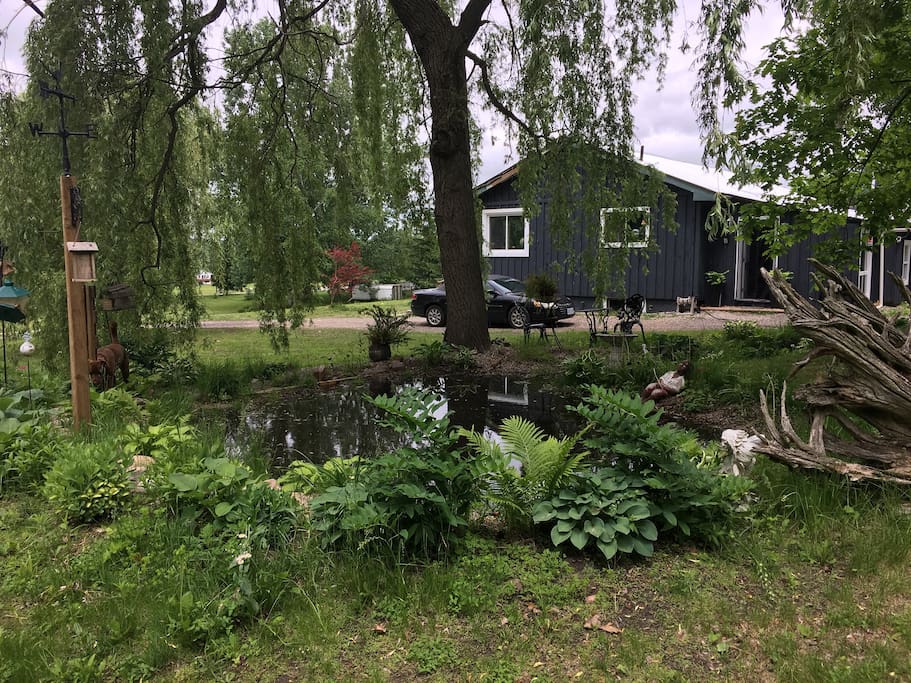 Two ponds on property with lots of perennials