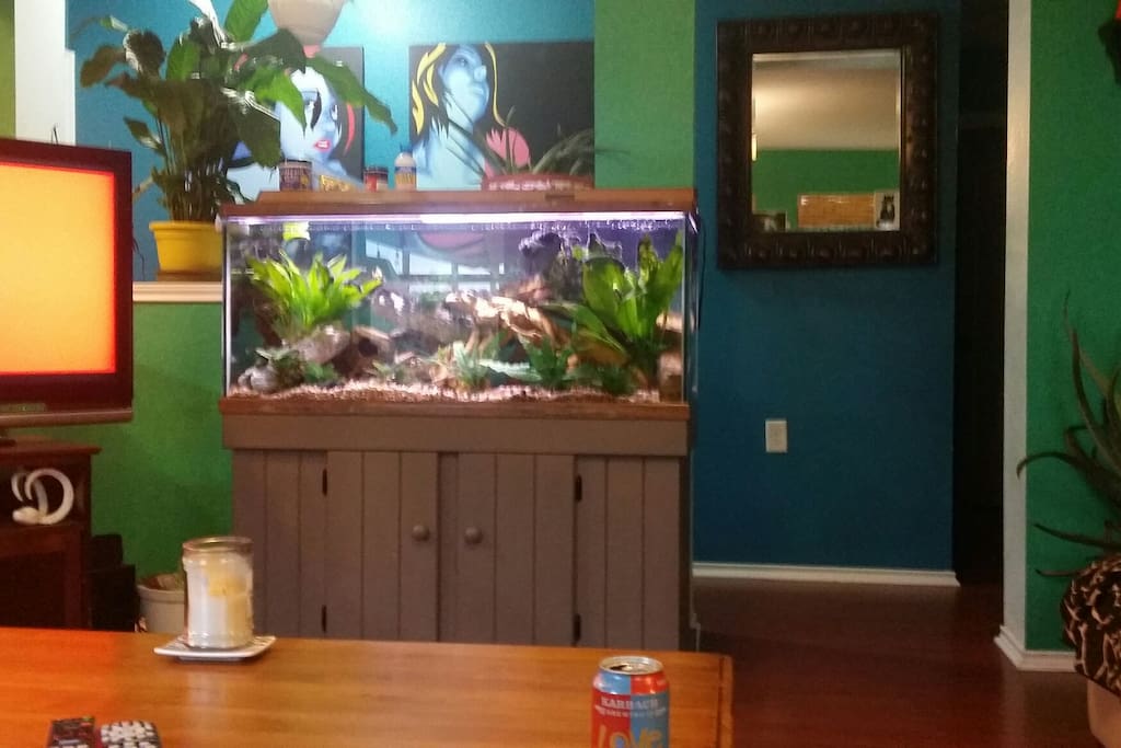 Here is another view from the couch.