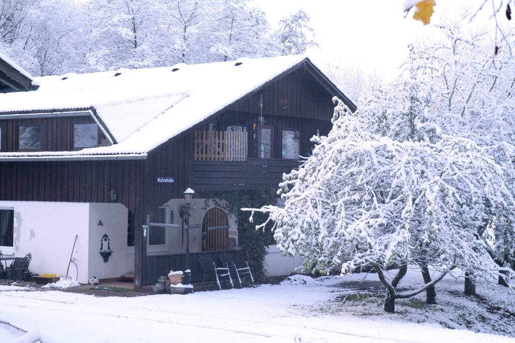 Entrance of the Apartment (Ground floor)