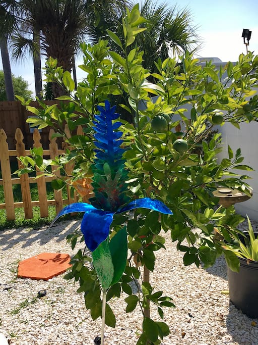 Share our private garden!