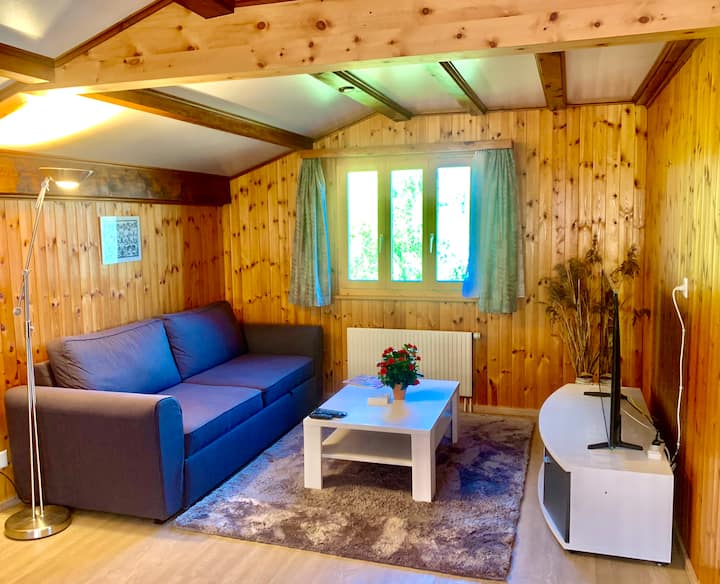 غرفة المعيشة