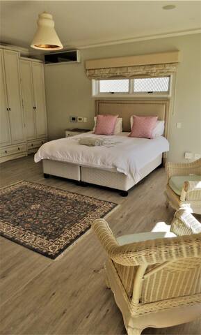 Elegant home in leafy Newlands- wi-fi inverter gallery image 3