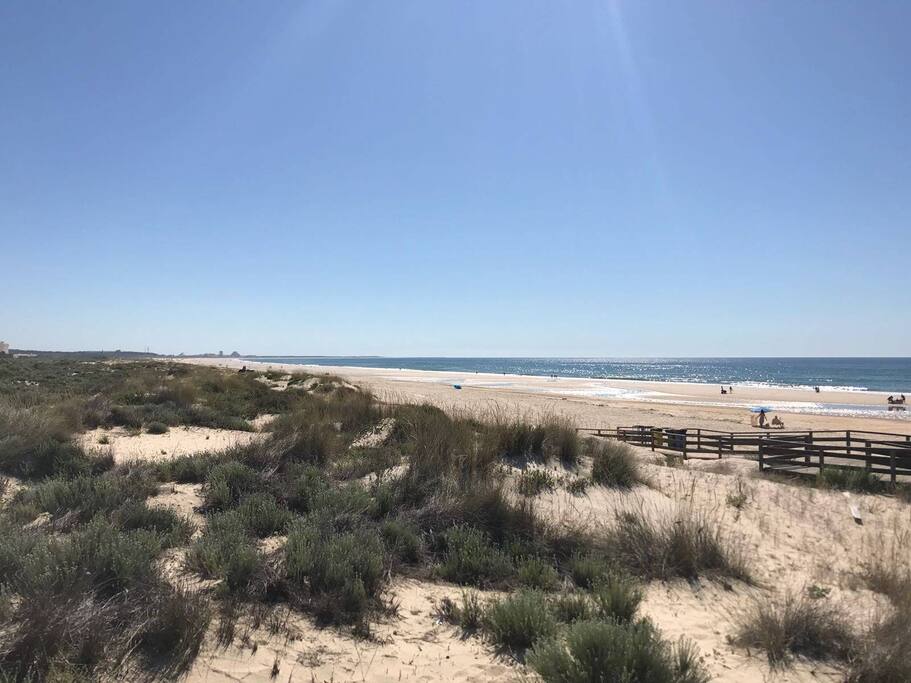 Altura Beach