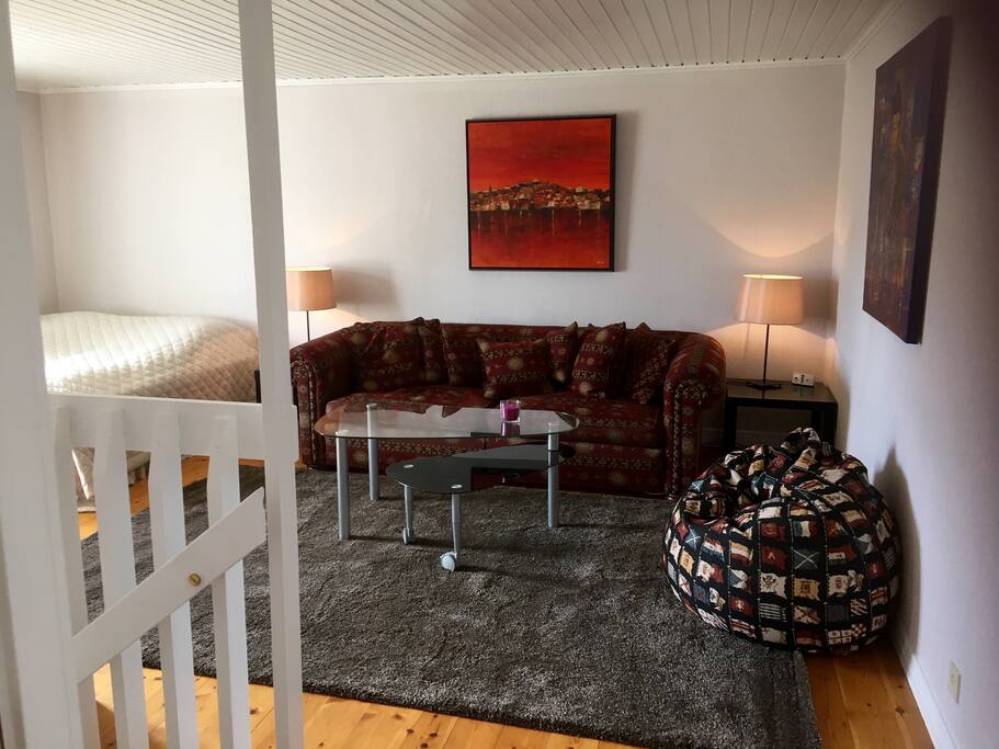 Apt. 1 - living room with extra double bed