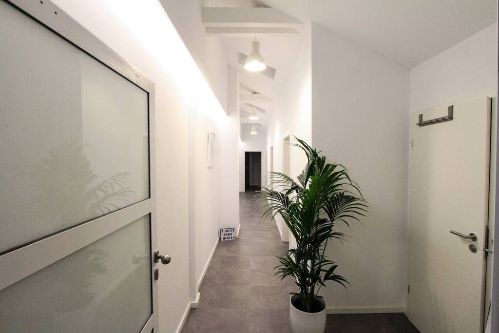 Floor/ Hall