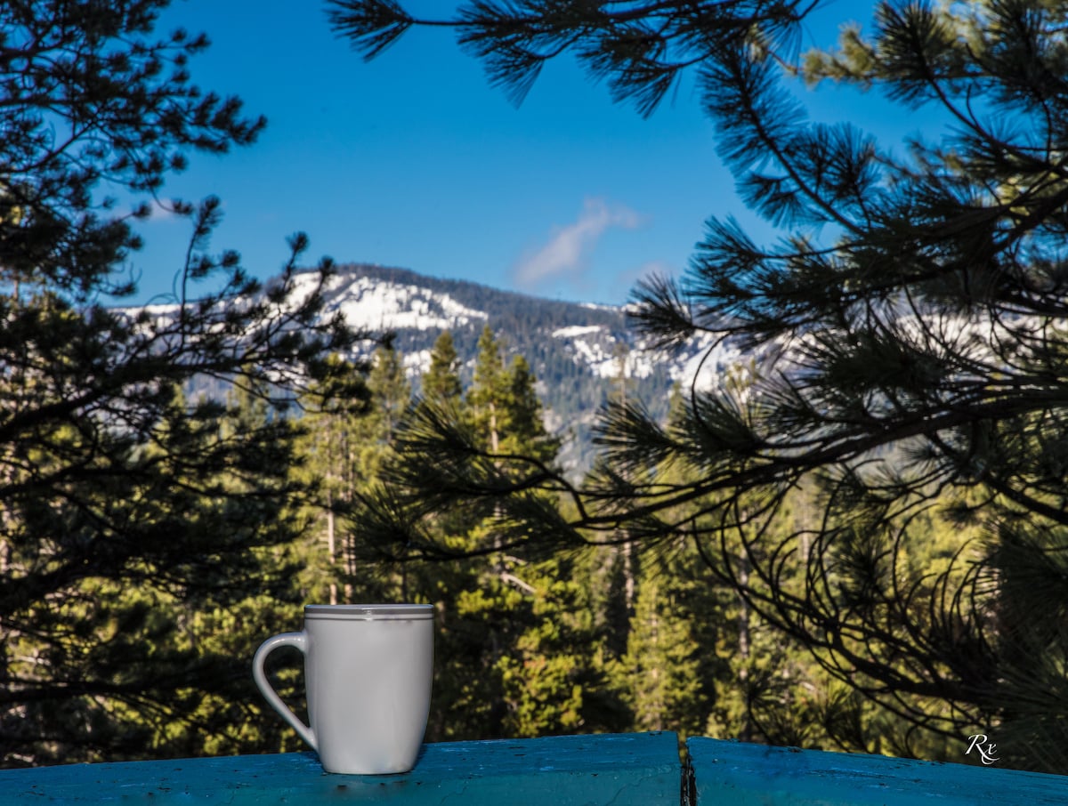 A white coffee mug is positioned on a rustic wooden table, with a backdrop of towering trees and snow-capped mountains. The clear blue sky enhances the natural beauty of the serene forest environment.
