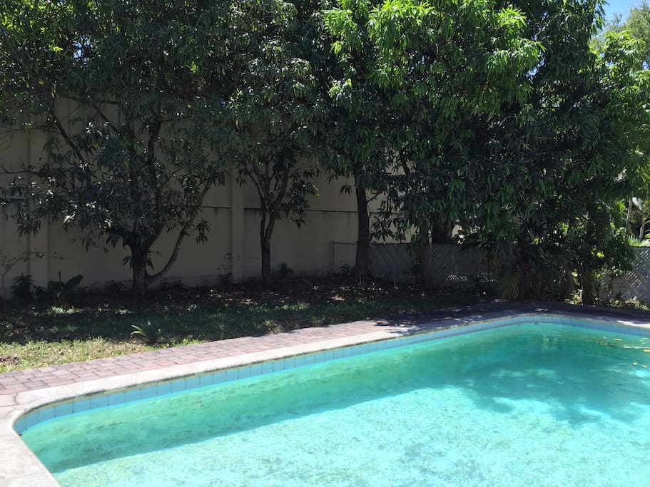 Backyard with the pool