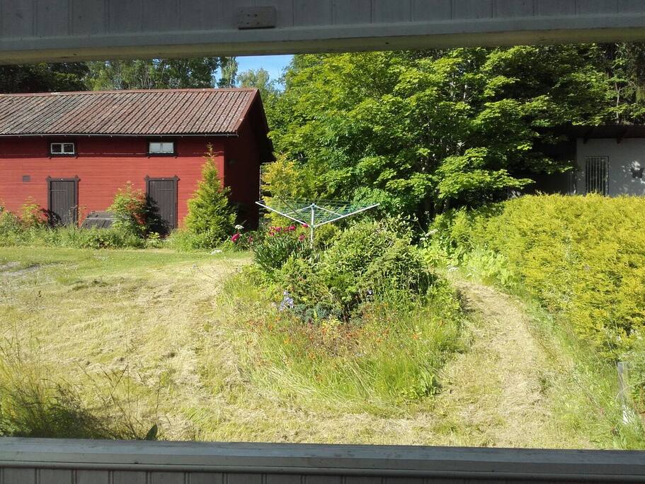 backside, afternoonsun
