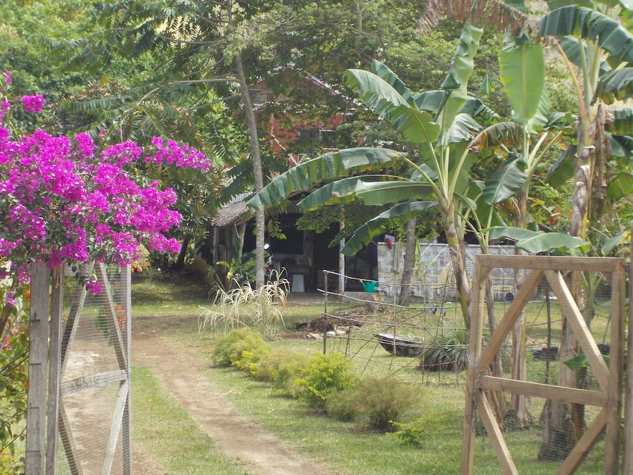 Looking in the main entrance gate