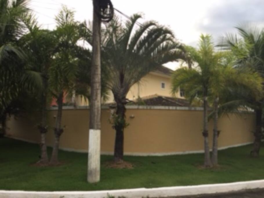 vista lateral