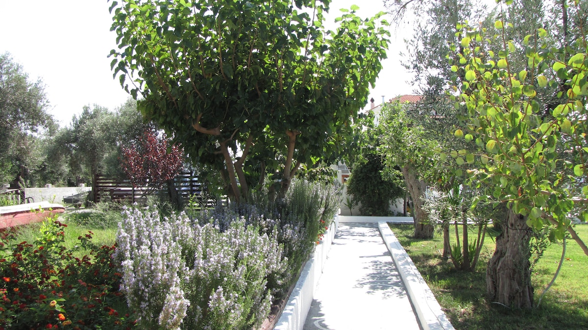 Studio for 3 Pers. Nr. 6 in Skiathos, Greece - Airbnb