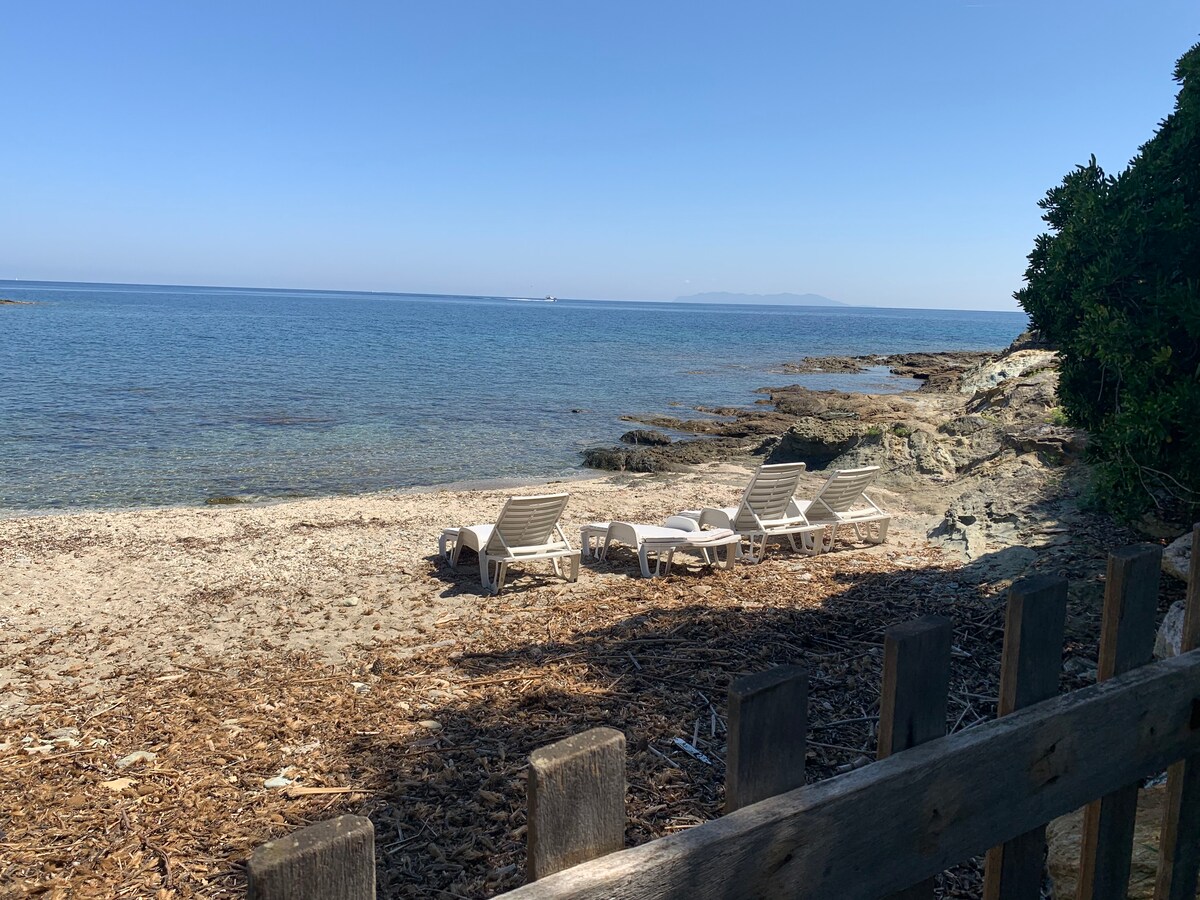 A serene beach area is shown, featuring sun loungers arranged on a sandy shore. The clear water gently laps against the rocky coastline, with a distant view of hills on the horizon. Natural elements like seaweed and scattered rocks are present along the beach.