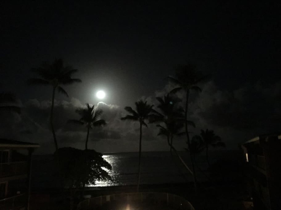 Moonlight by night from the lanai