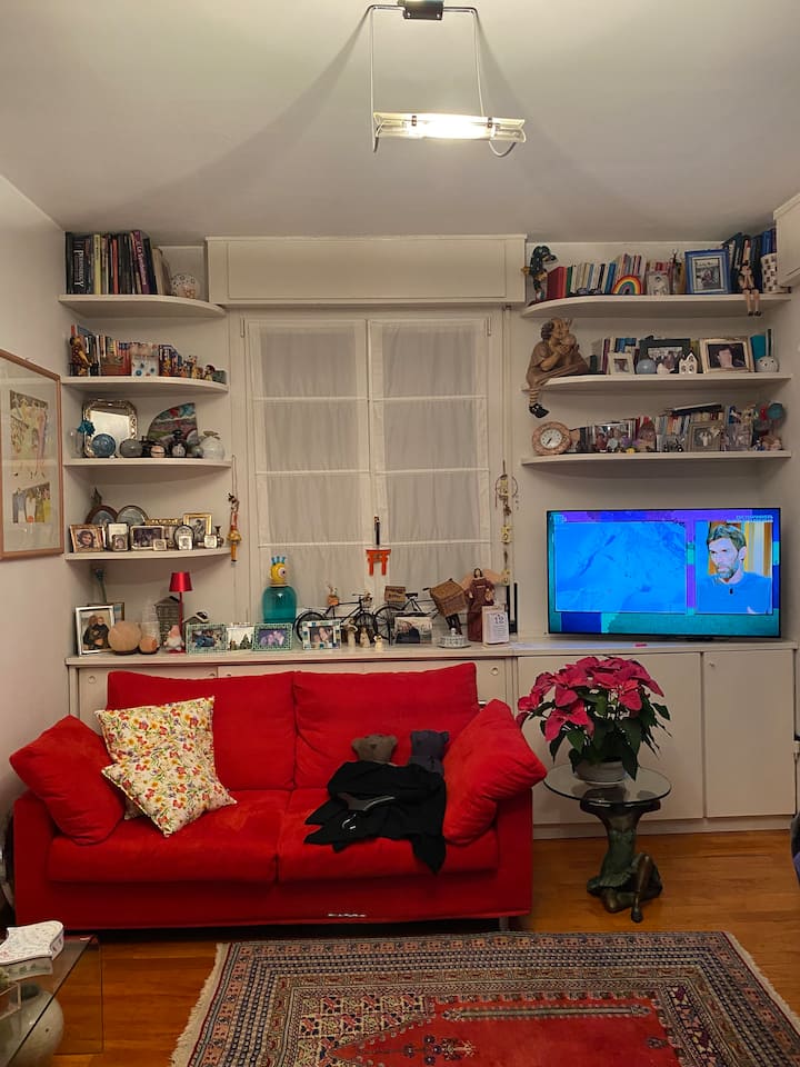 Televizor i ri 48 "Oled