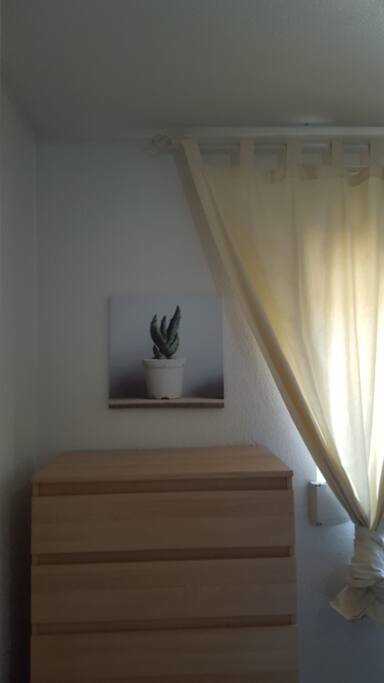 furniture to organize