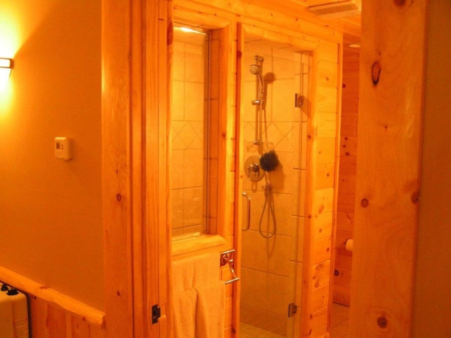 Basement Bathroom