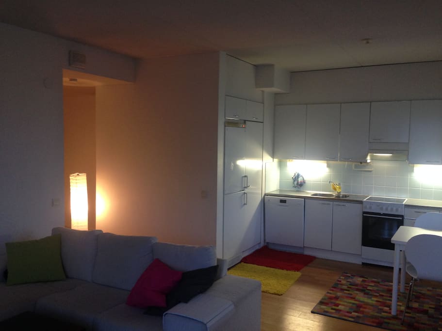 Living room/Kitchen