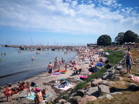 Beach opportunity just outside Copenhagen
