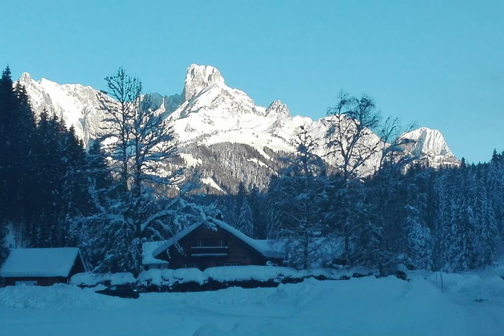 Bischofmütze