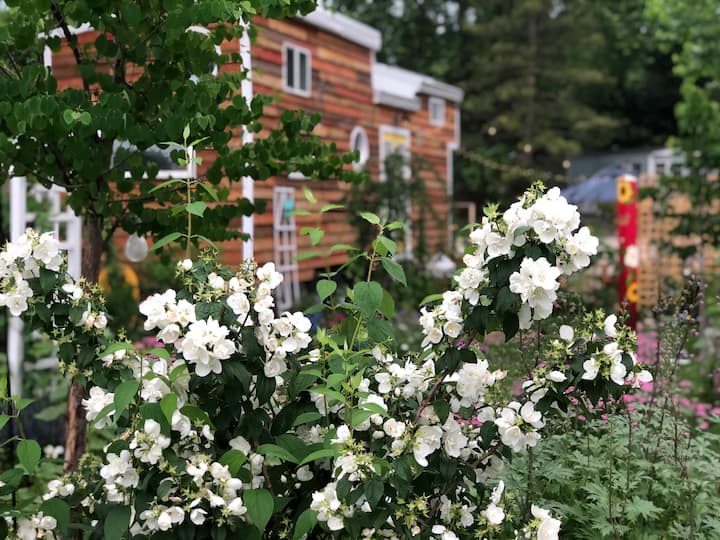 Featured On Tiny House Hunters, Eaa Welcome - Green Lake, WI