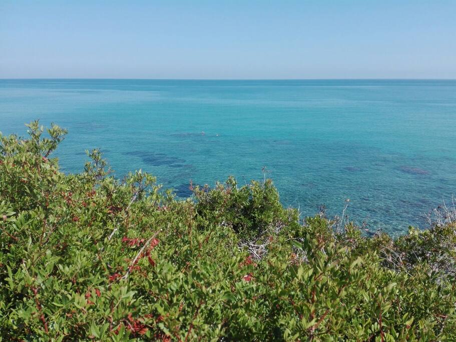 Tra azzurro e verde